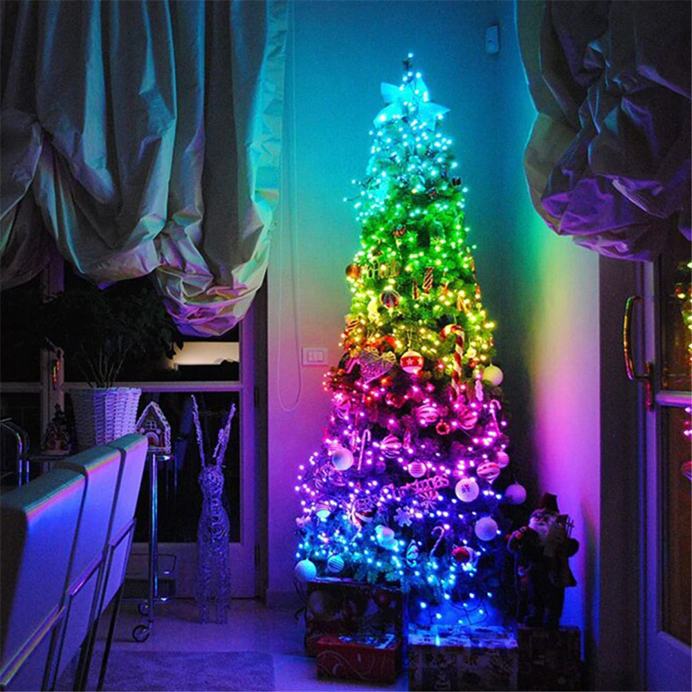 Custom LED String Lights